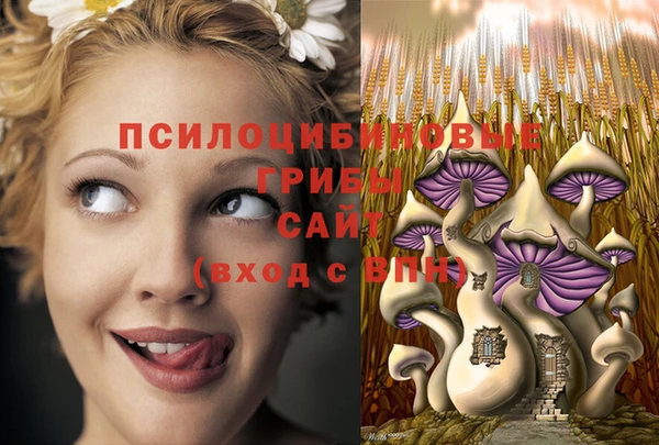 mix Армянск