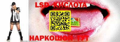 шишки Севастополь