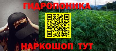 шишки Севастополь