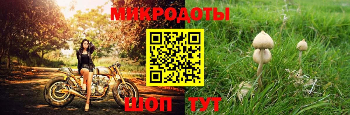 Псилоцибиновые грибы прущие грибы  Вход с VPN  купить   Уссурийск 